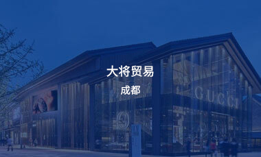 大将贸易成都