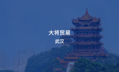 大将贸易武汉