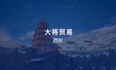 大将贸易西安